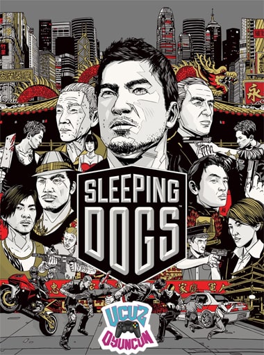 Sleeping Dogs